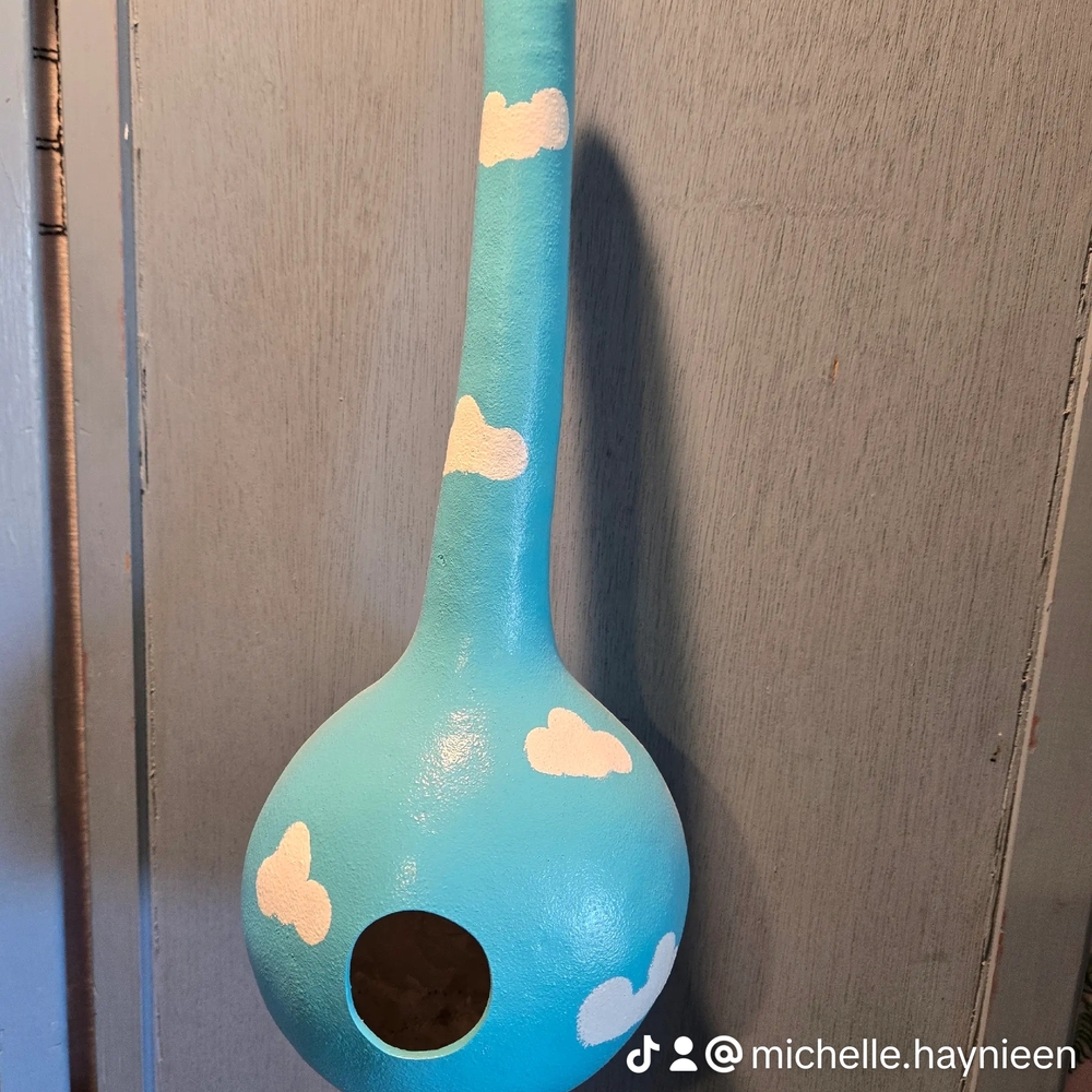 Blue Cloud Painted Gourd Birdhouse by